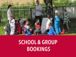 School & Group Lessons